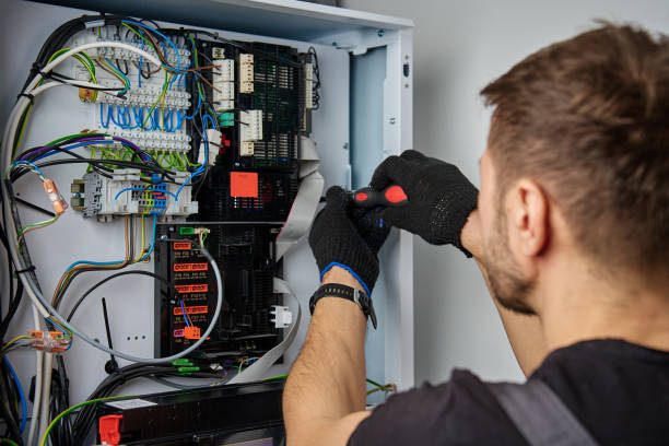 Licensed Electrical Panel Upgrade service in Ruckersville, VA - No Joke electrician